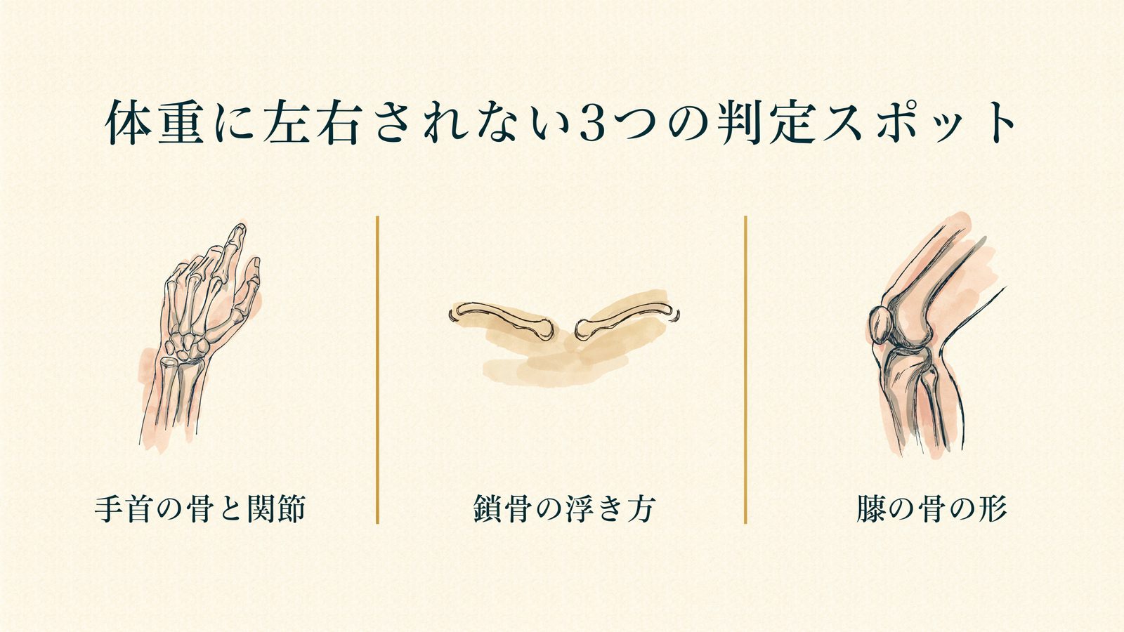 体重に左右されない3つの判定スポット