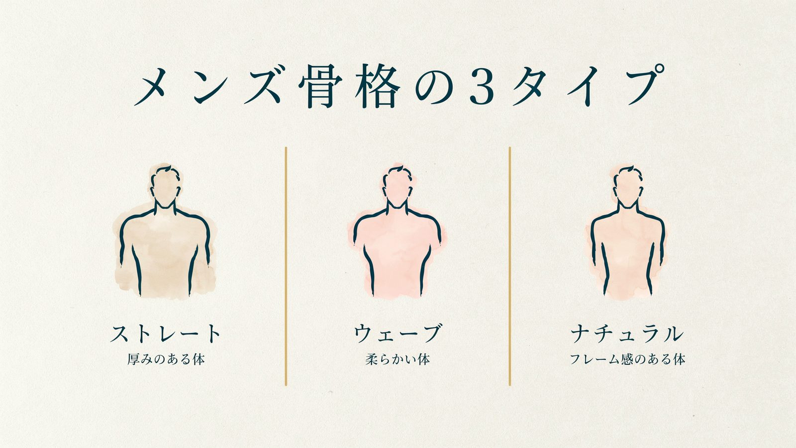 メンズ骨格の3タイプ